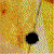 :iconpurrrk: