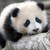 :iconpush-the-button: