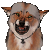 :iconpushdug: