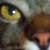 :iconPushok: