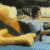 :iconpushtheweak: