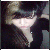 :iconpussoi: