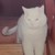 :iconpuzzleddragon: