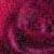 :iconpwetty-eyez: