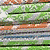 :iconpxyxstx: