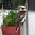 :iconpyeong: