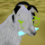 :iconpygmyvelociraptor: