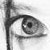 :iconpyretta-blaze: