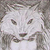 :iconpyritewolf: