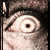 :iconpyrlo: