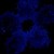 :iconpyromania0179:
