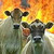 Pyromatica :iconpyromatica: