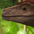 :iconpyroraptor-olympius: