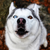 :iconpyroraveheart71: