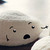 :iconpysiakowataa: