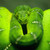 :iconpython0x: