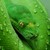 :iconpython2123: