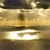 :iconq-amos: