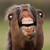 :iconq-thorn: