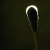 :iconq-tips: