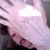 :iconqasimara: