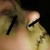 :iconqayinwolfsblut: