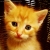 :iconQestpl: