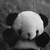 :iconqezzzy: