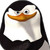 :iconqin-root: