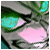 :iconqingy-kun: