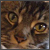 :iconqlawa94: