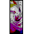 :iconqolor:
