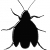 :iconqqroach: