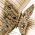 :iconqraizi-mepha: