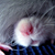 :iconqratty:
