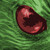 :iconqsal:
