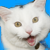 :iconqua416: