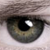 :iconquadratmeter: