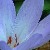 quaere-verum :iconquaere-verum: