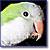 :iconquakerparrots4eva: