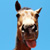 :iconquarterhorsedreams:
