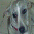 Queen-Aite :iconqueen-aite: