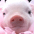 :iconqueen-diamond: