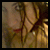 :iconqueen-of-destruction: