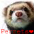 :iconqueenferret: