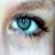 :iconqueenieelyse: