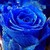 QueenLokadora :iconqueenlokadora: