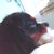 :iconqueenmousie: