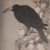 :iconqueenofcorvus: