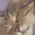 :iconqueenofemana: